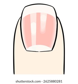 A hand-drawn vector of glossy, clean Caucasian nails. Perfect for beauty, nail care, wellness, or self-care designs with a fresh and gentle feel.