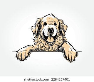 Handgezeichnete Vektorgrafik eines glücklichen Golden Retriever, der seine Pfoten an einen Rand stellt. Perfekt für Tierliebhaber und für Heimtierdesigns