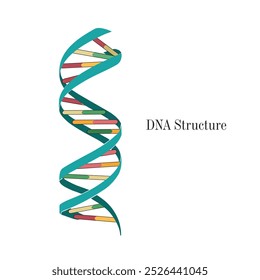 Hand-drawn vector human organ, A vector DNA structure illustration, A drawing of biological structure