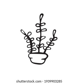 Ein handgezeichnetes Vektorsymbol eines Fikus. Doodle-Illustration auf weißem Hintergrund.