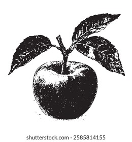 hand-drawn vector illustration of an apple with leaves in vintage engraving style. black and white botanical artwork with detailed texture, perfect for organic food and farm-themed designs.
