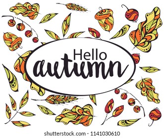 Hand-drawn vector illustration - autumn elements - berries and leaves