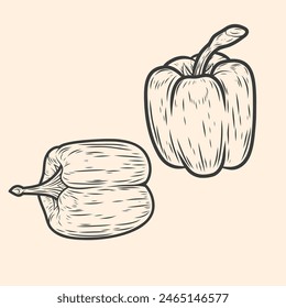 Hand-drawn vector illustration of a bell pepper. Vegetable line art, detailed designs, food and natural product branding, packaging, and decorative elements. Isolated black and white sketch style