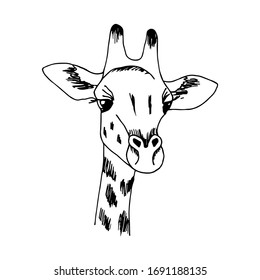 Hand-drawn vector illustration with black outline. Giraffe head isolated on a white background. Wild animals africa, nature, zoo. Safari. For t-shirt prints, sticker.