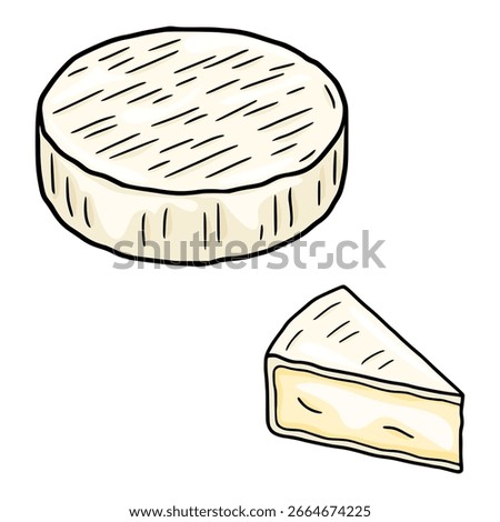 Hand-drawn vector illustration of a Brie cheese wheel and a slice, showcasing a creamy interior and detailed rind texture.