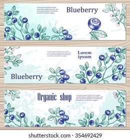 Hand-drawn vector illustration for a brochure or flyer in a natural style. Wild berries. Blueberries. Botanical banner set. Organic shop.