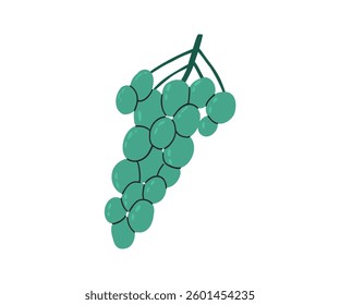 Hand-drawn vector illustration of a bunch of green grapes. Ideal for wine-related projects, food illustrations, and organic product branding.