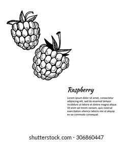 Hand-drawn vector illustration. Card or banner with raspberry. Isolated on white background.