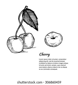 Hand-drawn vector illustration. Card or banner with cherry. Isolated on white background.