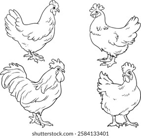 Hand-drawn vector illustration of chickens, roosters, hens, chicks, eggs, and farm elements. Perfect for farm-related designs, organic food branding, coloring books, and educational materials.