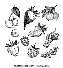 Hand-drawn vector illustration. Collection of  berries. Isolated on white background.