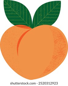 Hand-drawn vector illustration of colorful peaches with leaves, featuring whole, sliced, and half peaches in a flat style