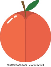 Hand-drawn vector illustration of colorful peaches with leaves, featuring whole, sliced, and half peaches in a flat style