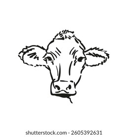 Hand-drawn vector illustration of a cow's head, created with bold black strokes in a minimalistic sketch style. Isolated on a white background. Ideal for farm, agriculture, and livestock concepts