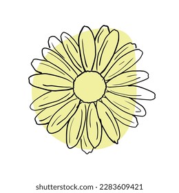 Hand-drawn vector illustration of a daisy with a yellow spot on a white background