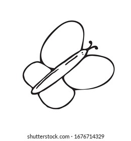 hand-drawn vector illustration, element without background, butterfly
