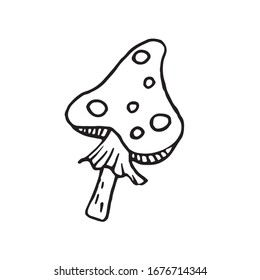 hand-drawn vector illustration, element without background, fly agaric from the forest, mushroom
