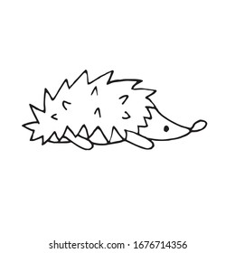 hand-drawn vector illustration, element without background, hedgehog from the forest on nature