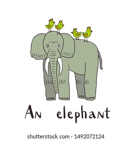 Handdrawn vector illustration of an elephant and green little birds that are sitting on it and a text "an elephant".