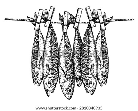 Hand-drawn vector illustration of  fish hanging from a rope to dry. Hanging fish by a string, dried, smoked, salted fish. Food market concept. Sketch style