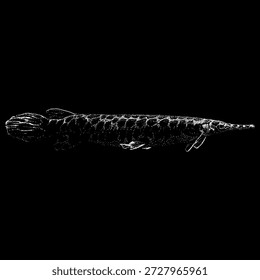 Ilustración vectorial dibujada a mano de un pez de mar de Florida en estilo de grabado detallado en blanco y negro, con su cuerpo alargado y aspecto prehistórico. Perfecto para diseños de vida silvestre, temas de pesca, impresiones vintage, logotipos e ilustraciones educativas.