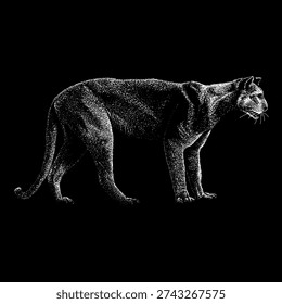 hand-drawn vector illustration of a Florida panther in side profile, featuring intricate stippling and engraving-style shading. Isolated on a dark background, this black and white wildlife artwork captures the strength and elegance of this endangered big cat, ideal for logos, apparel, posters, and educational designs.