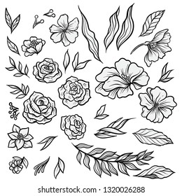 Handdrawn Vector Illustration Flower Set