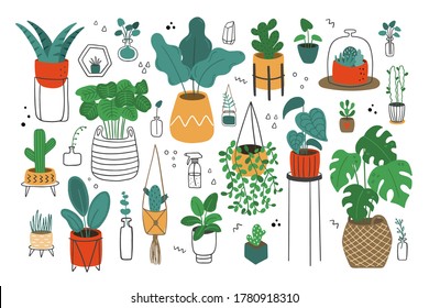 Hand-drawn vector illustration with flowers in pots. Home garden, greenhouse, plants growing in pots. Scandinavian style. 