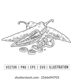 Hand-Drawn Vector Illustration of Fresh Sliced and Whole Chili Peppers for Culinary and Botanical Designs