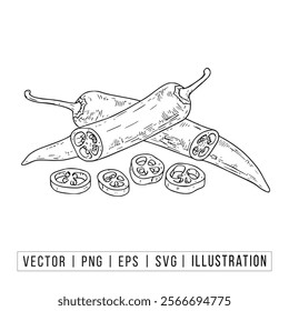Hand-Drawn Vector Illustration of Fresh Sliced and Whole Chili Peppers for Culinary and Botanical Designs