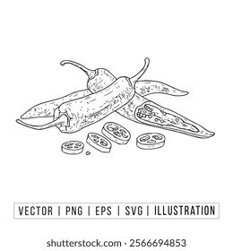 Hand-Drawn Vector Illustration of Fresh Sliced and Whole Chili Peppers for Culinary and Botanical Designs