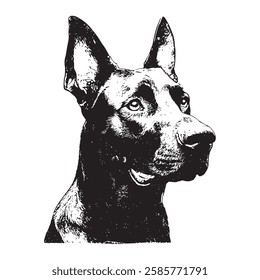 hand-drawn vector illustration of a german shepherd dog in vintage engraving style. black and white detailed portrait with realistic texture, perfect for pet-related designs.