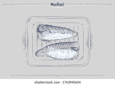 Hand-drawn vector illustration of grilled fish dish , grilled mackerel by hand sketch style.