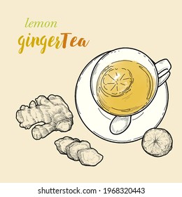 Hand-drawn vector illustration of healthy drinks, Lemon Ginger Tea by retro style, drawing by engraved dot and line. relaxing drink with health benefits.