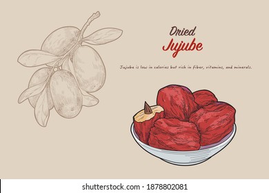 Hand-drawn vector illustration of healthy fruits jujube by retro style, drawing by engraved dot and line. include fresh and dried type.