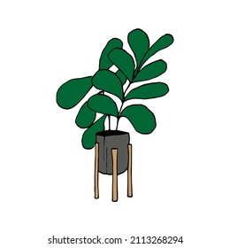Hand-drawn vector illustration of a houseplant. Isolated on a white background pattern for prints, posters, mood boards, stationery. High-quality doodle illustration