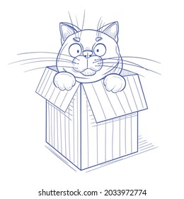 Hand-drawn vector illustration isolated on white background. Sketch of a funny cat sitting in a box.
