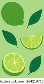 Hand-drawn vector illustration of Limes with leaves – fresh, juicy green fruits in a cute and playful cartoon style on green background