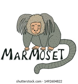 Handdrawn vector illustration with a marmoset monkey tha's sitting n a word "marmoset".