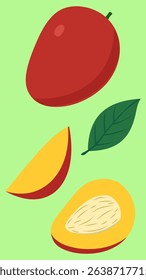 Hand-drawn vector illustration of a Miyazaki mango – tropical Japanese fruit with vibrant colors, sweet flavor, and detailed design elements