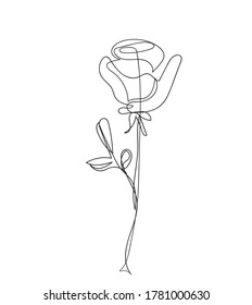 hand-drawn vector illustration one line drawing rose