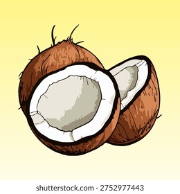 Hand-drawn vector illustration of organic brown coconuts with artistic line art and cross-hatching textures, created using professional vector software. etailed coconut vector illustration with hand-drawn ink style, perfect for organic food packaging, tropical juice labels, and healthy cafe menus