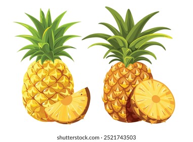 Ilustração vetorial desenhada à mão de frutos de abacaxi (Ananas comosus) com abacaxi inteiro, fatias e folhas