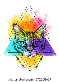 Hand-drawn vector illustration portrait of cat. Sketch style. Use for tattoo, poster, postcard, web, t-shirt print.