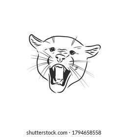 Hand-drawn vector illustration portrait of puma. Sketch style. Use for tattoo, poster, postcard, web, Cougar animal, vector sketch illustration