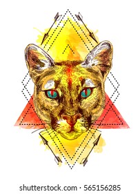 Hand-drawn vector illustration portrait of puma. Sketch style. Use for tattoo, poster, postcard, web, t-shirt print.