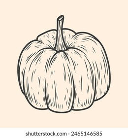 Hand-drawn vector illustration of pumpkin. Vegetable line art, detailed designs, food and natural product branding, packaging, and decorative elements. Isolated black and white sketch style