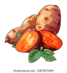 Ilustración vectorial hecha a mano del icono de patatas maduras aisladas