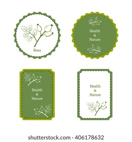 Handdrawn vector illustration rose hip - Rosa. Medicinal berry.For traditional medicine, gardening or cooking design, package, wrapper, label.