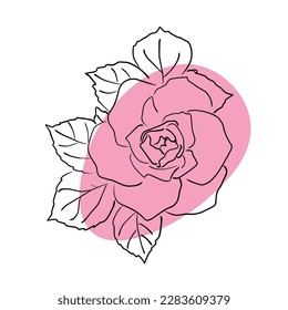 Ilustración vectorial dibujada a mano de una rosa con hojas y puntos rosados sobre un fondo